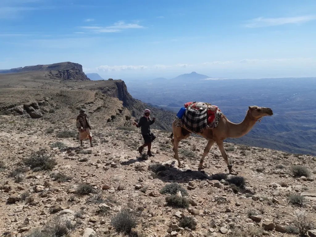 Survival Adventure  10-Day
