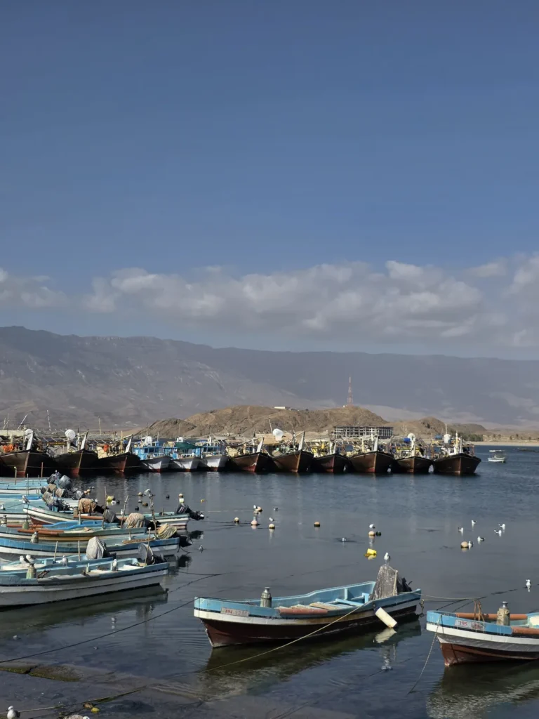 East Salalah Tour