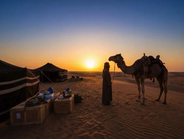 Desert Detox