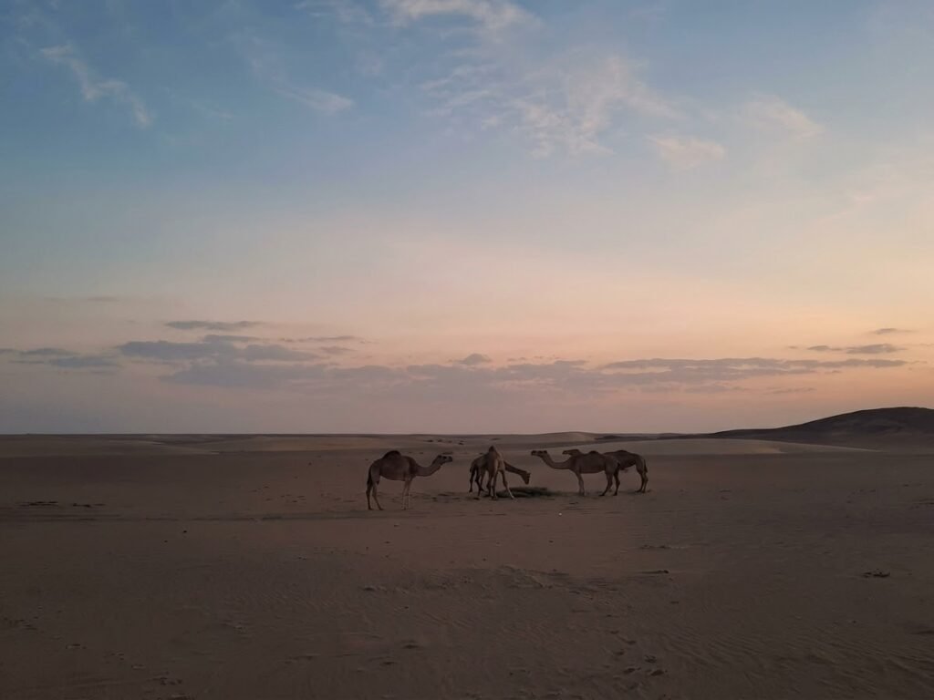 Digital Detox Expedition 5-Day