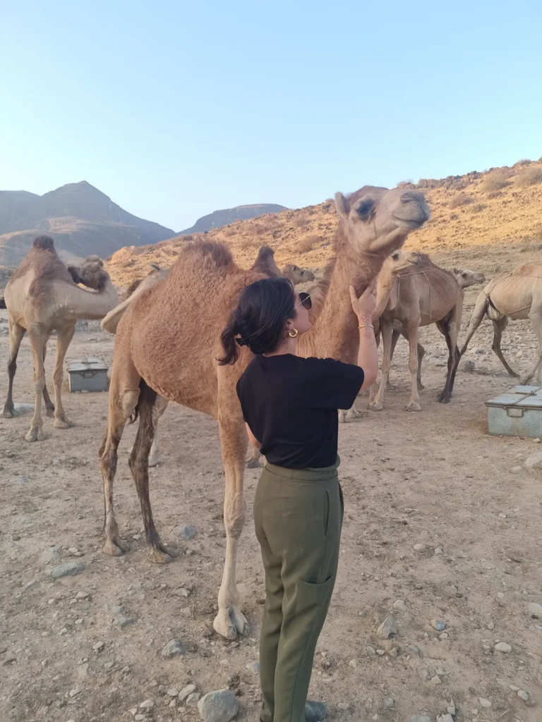 Camel Izba Experience