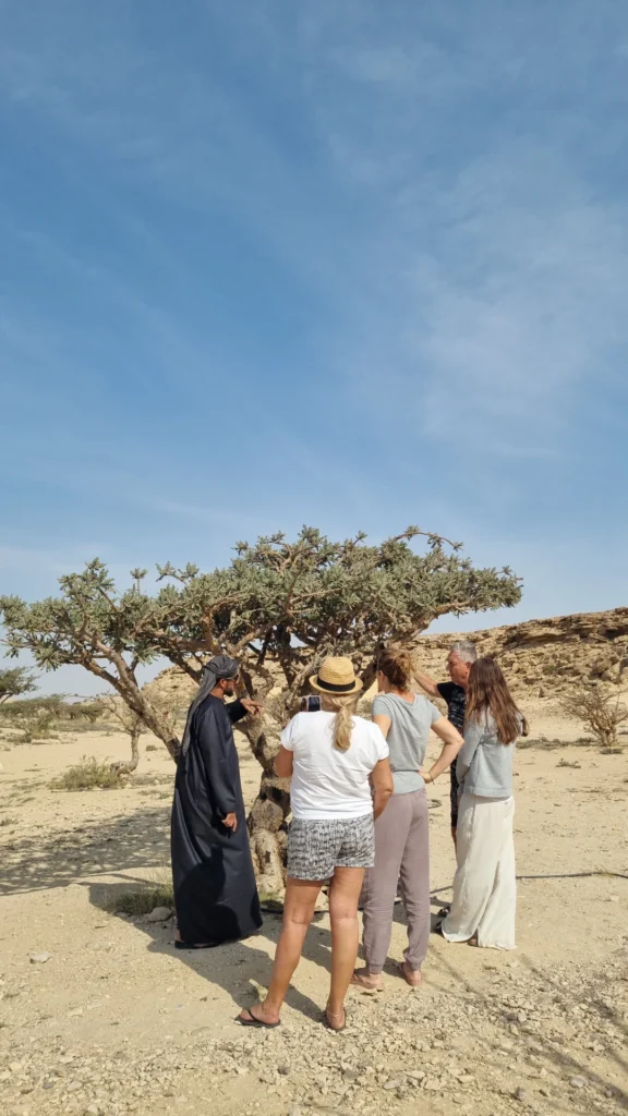 Desert Sunset Tour