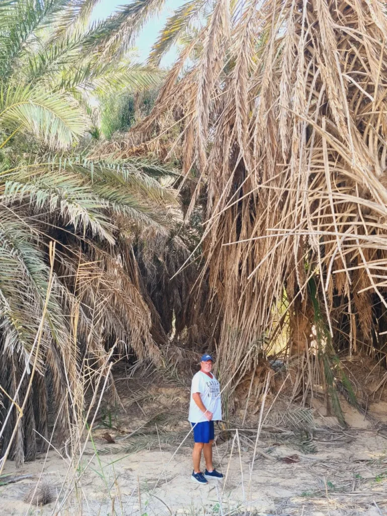 Wadi Sinaq Tour