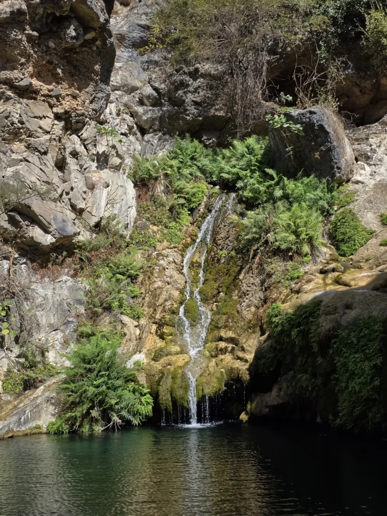 Waterfall & Camel Sunset Tour