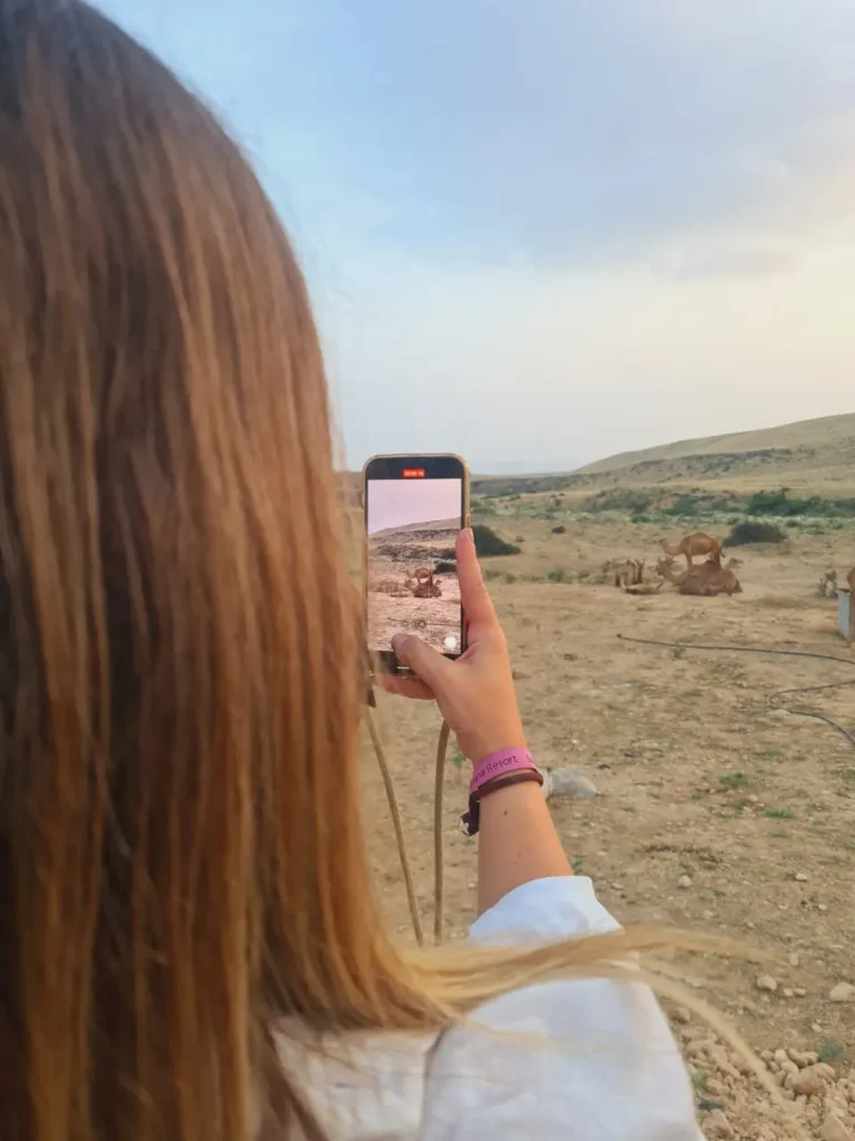 Waterfall & Camel Sunset Tour