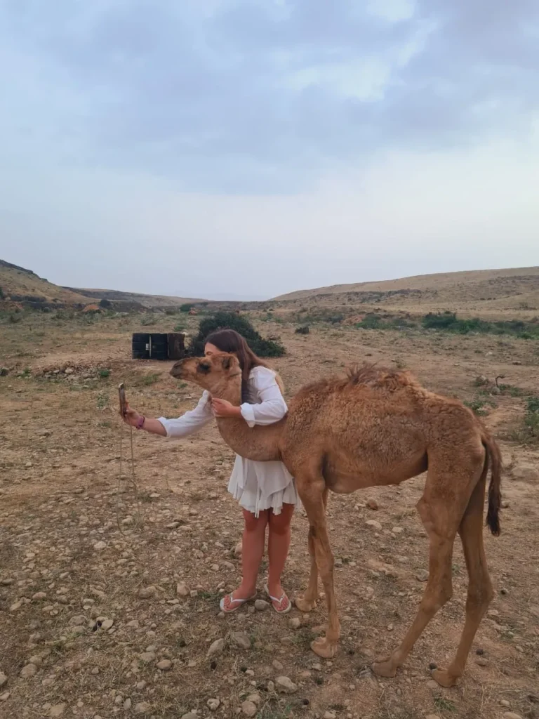 Waterfall & Camel Sunset Tour