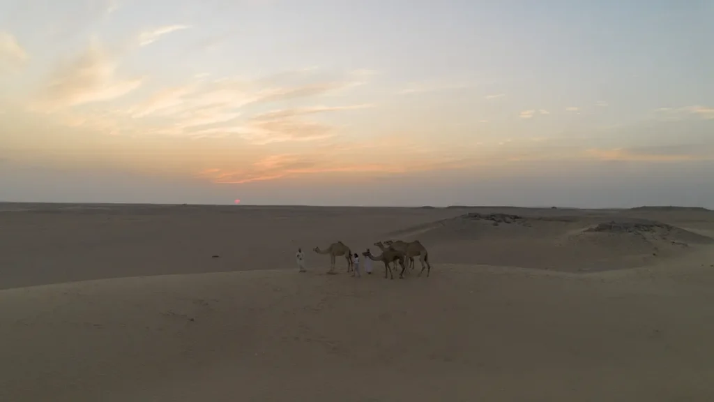 Sariba Desert Camp